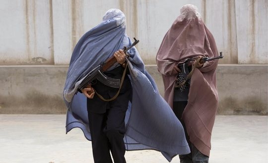 veronique-viguerie-256564